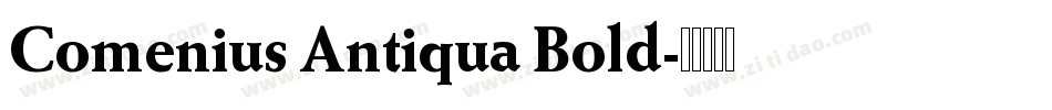 Comenius Antiqua Bold字体转换